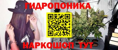 ПСИЛОЦИБИНОВЫЕ ГРИБЫ Северобайкальск