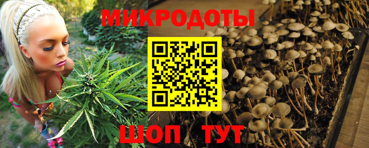 Псилоцибиновые грибы Psilocybe  Псилоцибиновые грибы MAGIC MUSHROOMS  Вход с VPN  Тимашёвск 