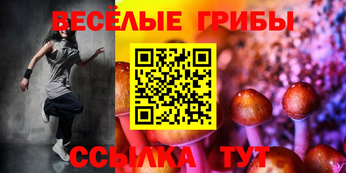 Псилоцибиновые грибы прущие грибы Тимашёвск
